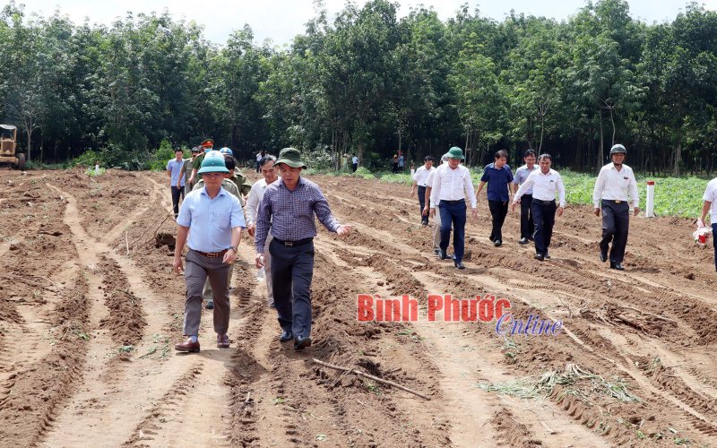 Đồng Xoài: Nhân dân đồng thuận hiến đất làm đường vành đai phía nam thành phố