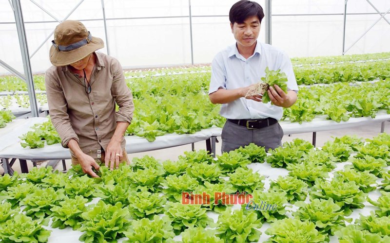 Giai đoạn 2025-2030, hình thành 5 vùng nông nghiệp ứng dụng công nghệ cao 