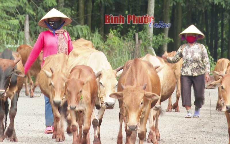 Giảm nghèo trong đồng bào DTTS: Cần nhất là thay đổi tư duy