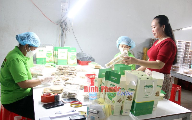 Kinh tế tập thể 'ra khơi' - Bài 2