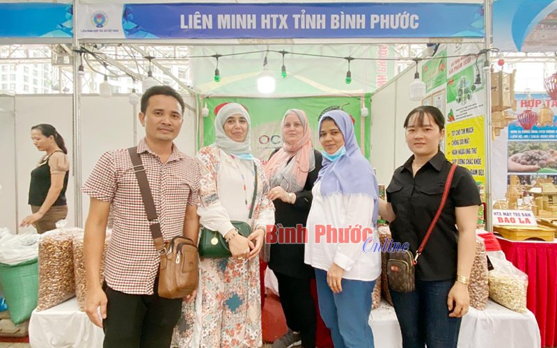 Kinh tế tập thể ‘ra khơi’ - Bài cuối