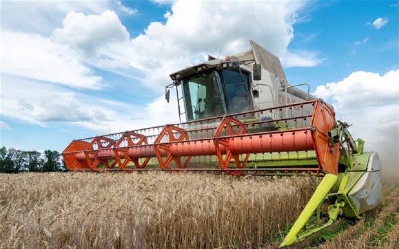 Tàu đầu tiên chở ngũ cốc Ukraine qua Biển Đen đã sẵn sàng rời cảng