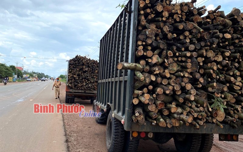 Thành lập 2 tổ công tác đặc biệt xử lý vi phạm giao thông