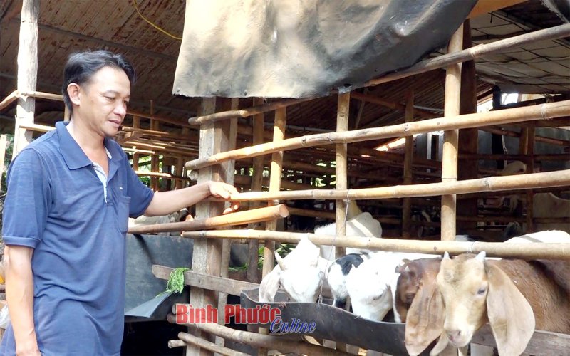 Thoát nghèo nhờ vốn vay ưu đãi