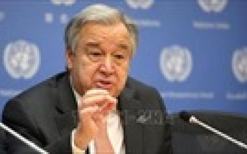 Tổng thư k&yacute; LHQ đ&aacute;nh gi&aacute; cao nỗ lực của Việt Nam trong thực hiện cam kết về biến đổi kh&iacute; hậu