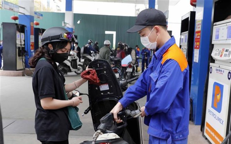 Triển khai ngay Nghị quyết về mức thuế bảo vệ môi trường đối với xăng, dầu, mỡ nhờn
