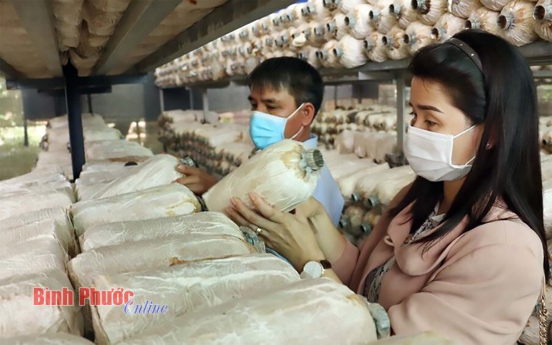 Vốn nước sạch và vệ sinh môi trường: Thúc đẩy tăng trưởng