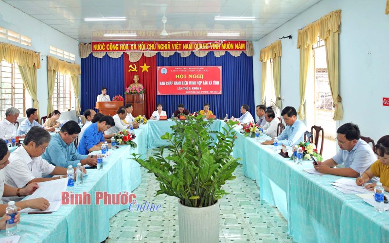 6 tháng đầu năm 2023, Bình Phước thành lập mới 17 HTX