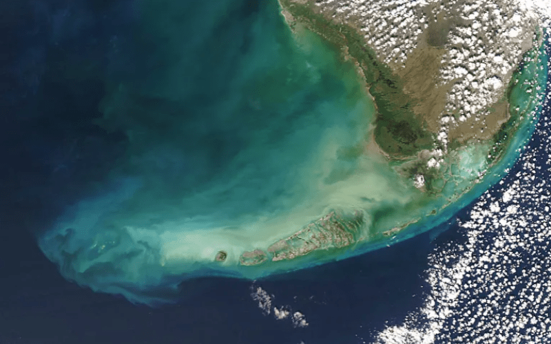 Các đại dương đang đổi màu vì biến đổi khí hậu toàn cầu