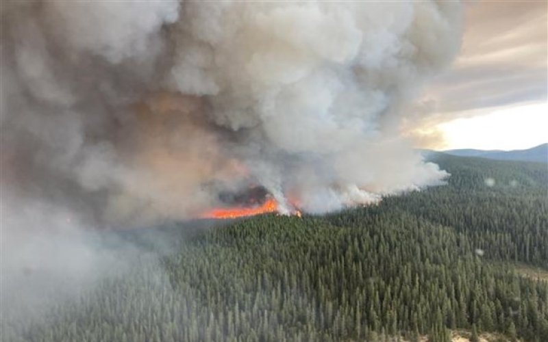 Canada trải qua mùa cháy rừng tàn khốc nhất trong 30 năm qua