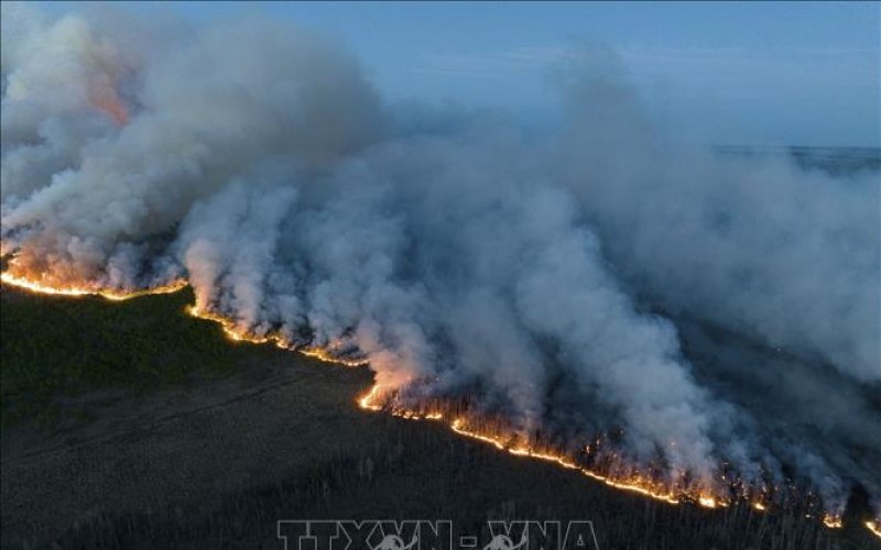 Cháy rừng thiêu hủy hơn 10 triệu ha tại Canada