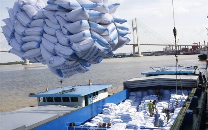 Đa dạng hoá thị trường xuất khẩu gạo để bứt tốc