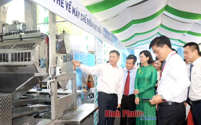 Đẩy mạnh nghiên cứu công nghệ chế biến điều để nâng cao giá trị gia tăng