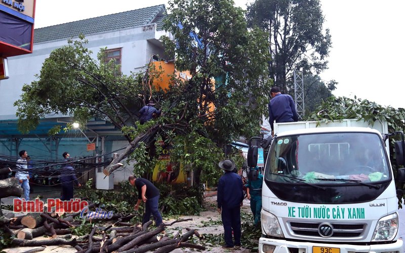 Đồng Xoài khẩn trương khắc phục sự cố đảm bảo an toàn sau giông lốc