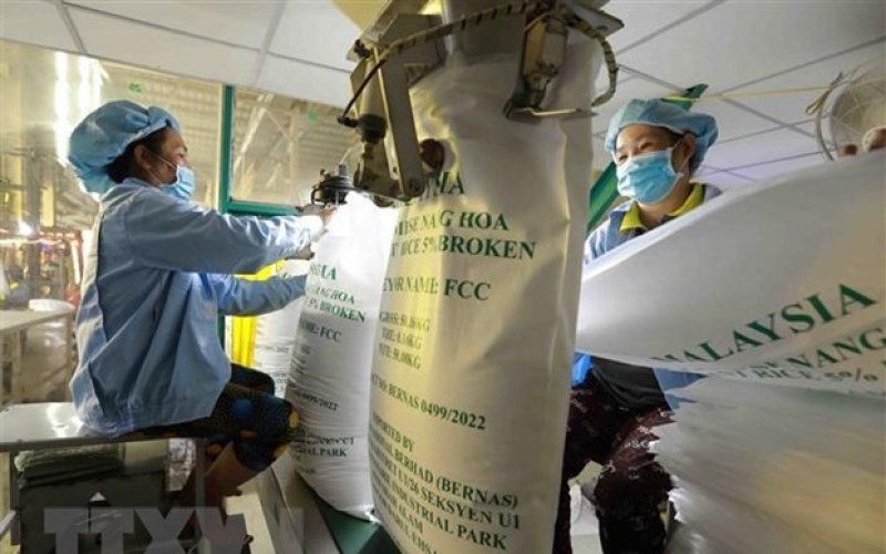 Giá gạo xuất khẩu tăng vọt còn giá càphê tiếp tục lao dốc