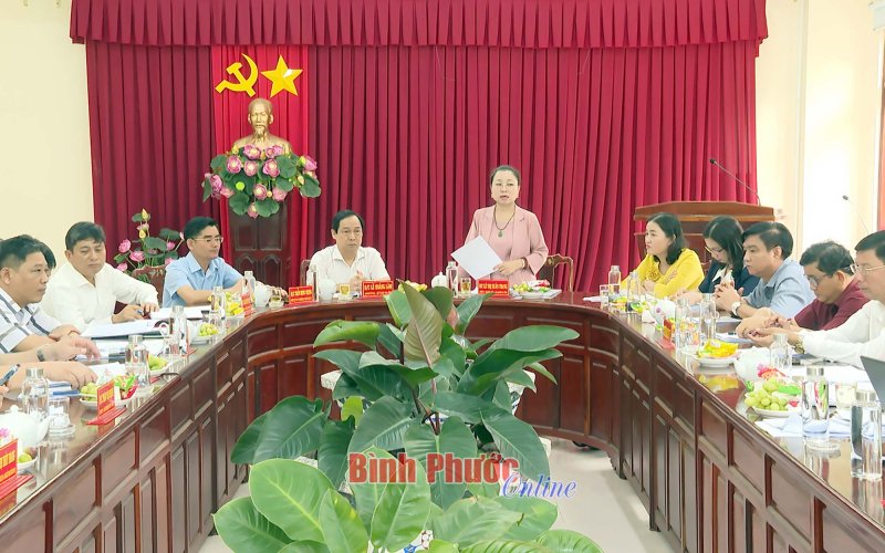 Giám sát công tác cán bộ tại thị xã Chơn Thành