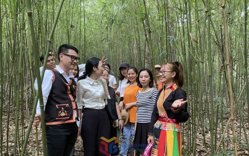  Hạ Long: Mở rộng không gian du lịch