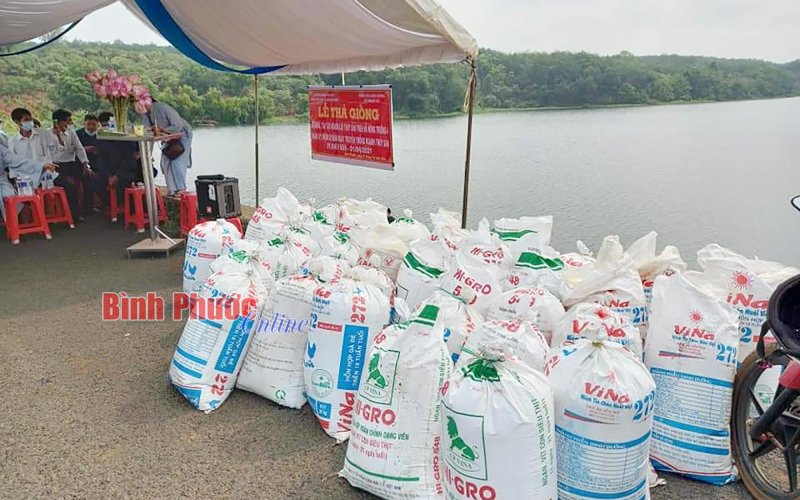 Hiệu ứng tích cực từ tổ nghề cá cộng đồng