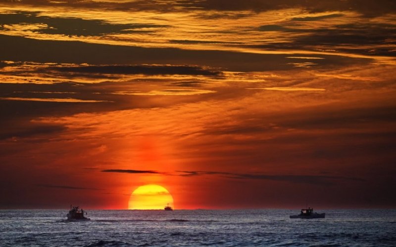 Khai khoáng biển sâu: Mỏ vàng mới hay thảm họa cho môi trường?