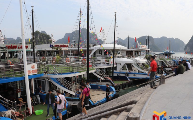 Nâng cao chất lượng đội tàu du lịch