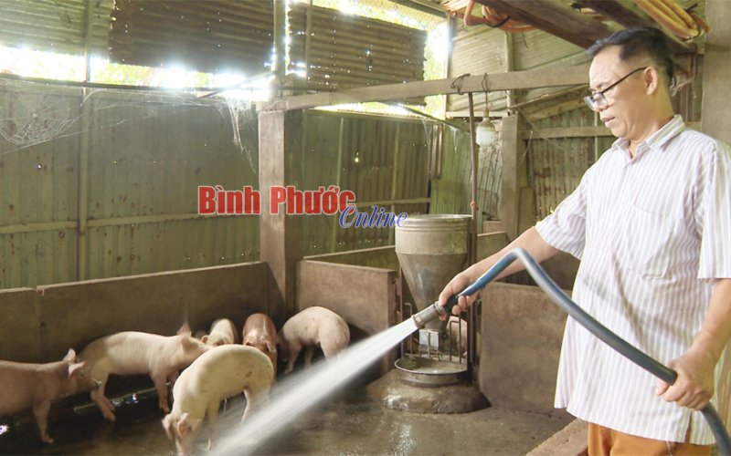 Người chăn nuôi chờ "giải cứu"