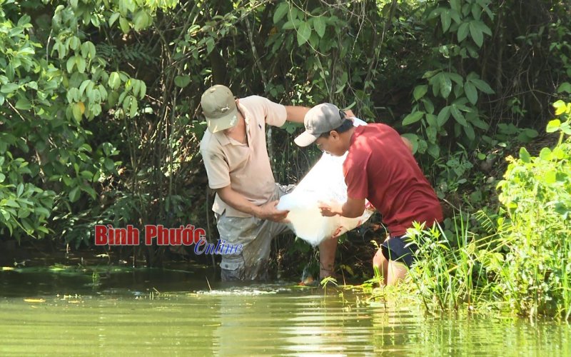 Nhiều dư địa phát triển thủy sản