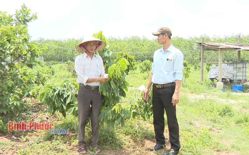 Nông dân gặp khó vì chưa được cấp sổ đỏ