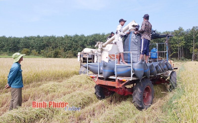 Nông nghiệp bứt tốc hội nhập