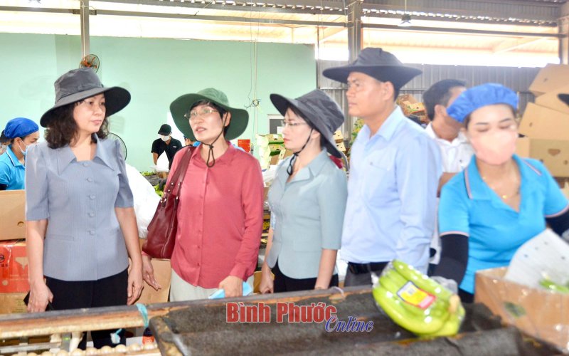 Phó Bí thư Thường trực Tỉnh ủy Huỳnh Thị Hằng thăm mô hình kinh tế nông nghiệp công nghệ cao