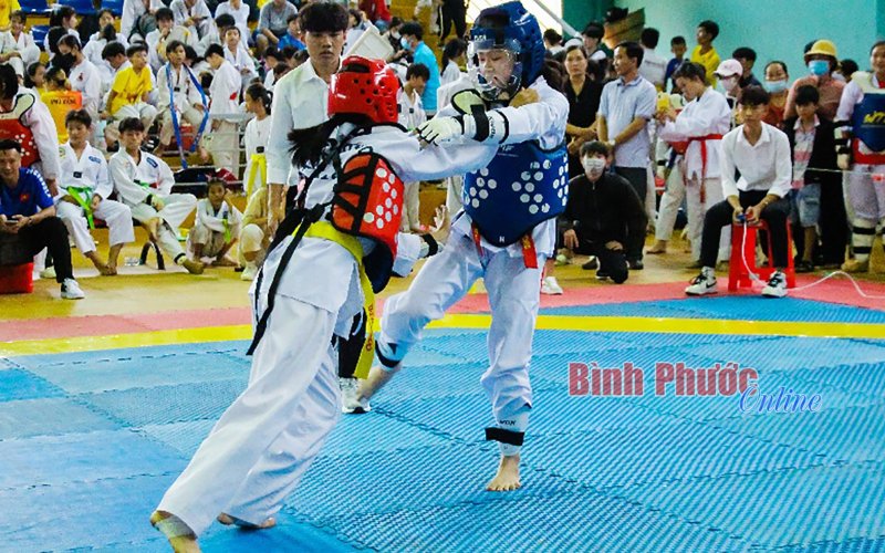 Phước Long: Hơn 800 vận động viên tham gia liên hoan võ thuật taekwondo