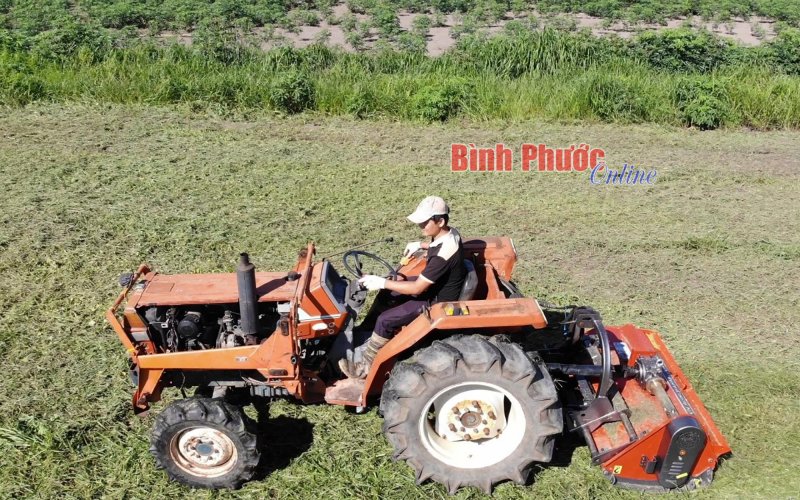 Sản xuất nông nghiệp xanh