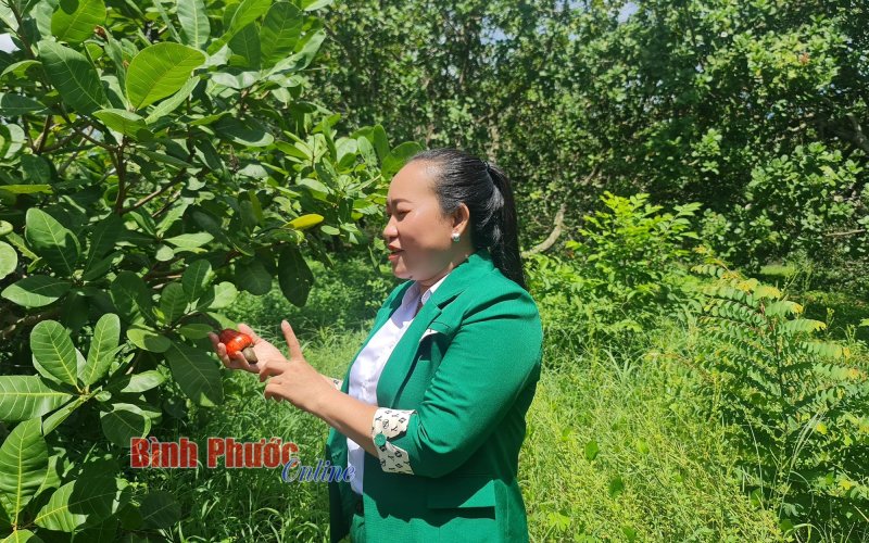 Tạo khác biệt từ điều tím