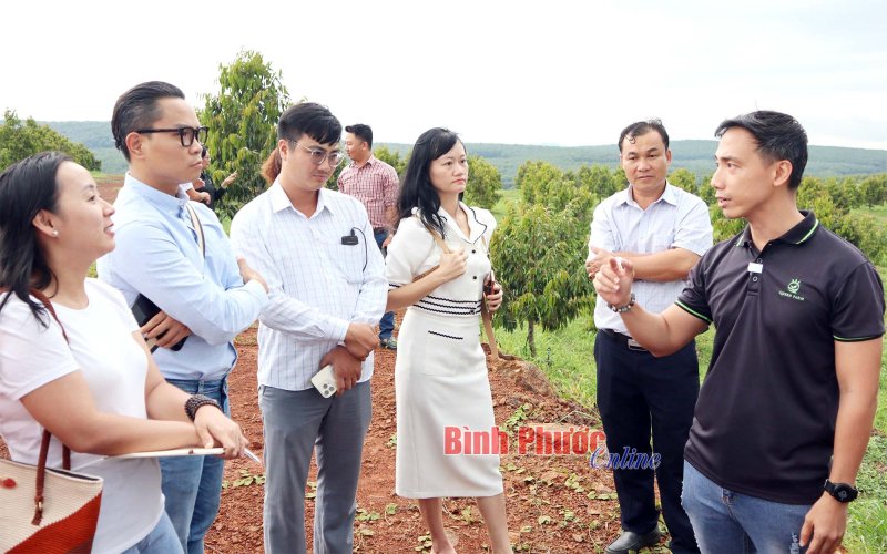 Techfest Vietnam - khởi nghiệp đổi mới sáng tạo quốc gia