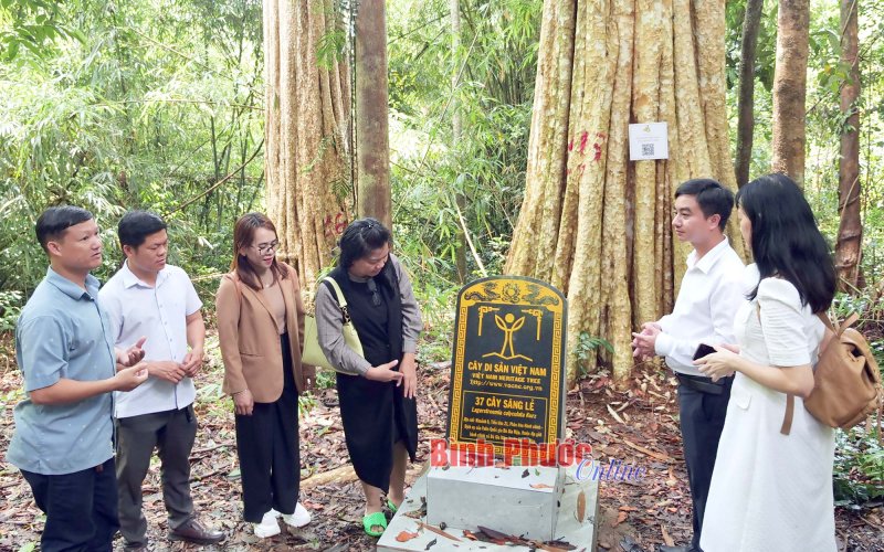 Techfest Vietnam - khởi nghiệp đổi mới sáng tạo quốc gia