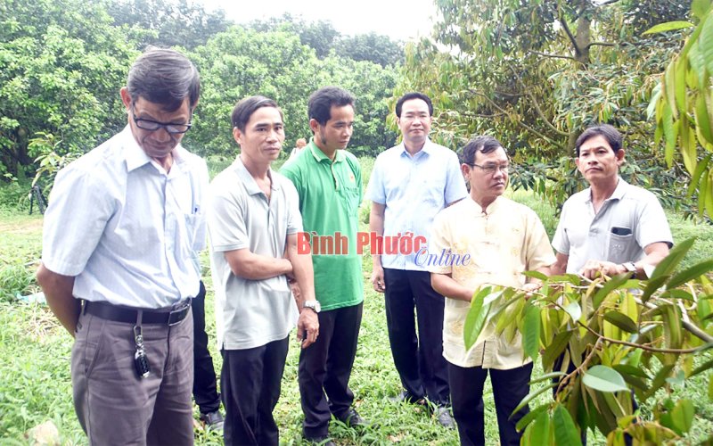 Tham quan các hợp tác xã tiêu biểu về xây dựng chuỗi giá trị