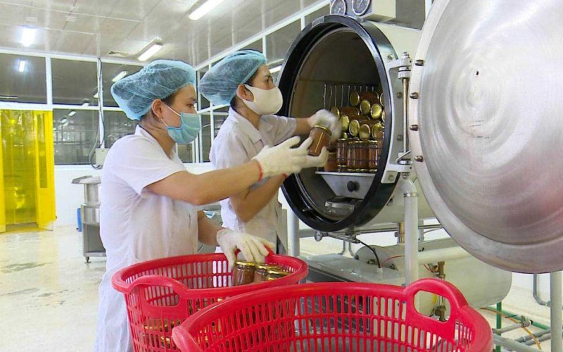 Thăng hạng sản phẩm OCOP nhờ khoa học công nghệ