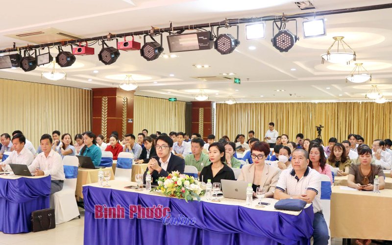 Thương mại điện tử - công cụ để doanh nghiệp hội nhập