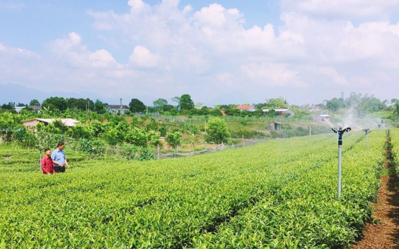 Ứng dụng công nghệ cao trong sản xuất nông nghiệp