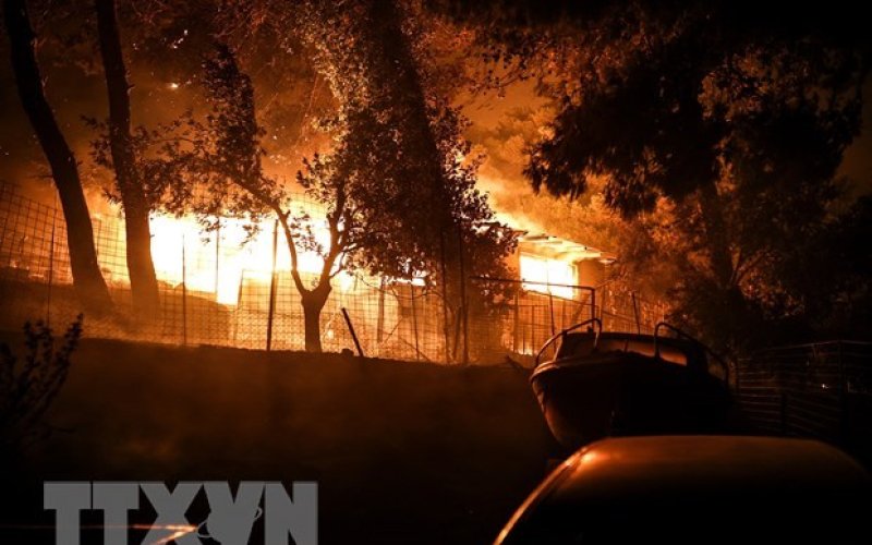 Vùng Viễn Đông của Nga ban bố tình trạng khẩn cấp do cháy rừng