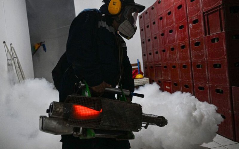 WHO cảnh báo về nguy cơ đại dịch sốt xuất huyết do nhiệt độ ấm lên