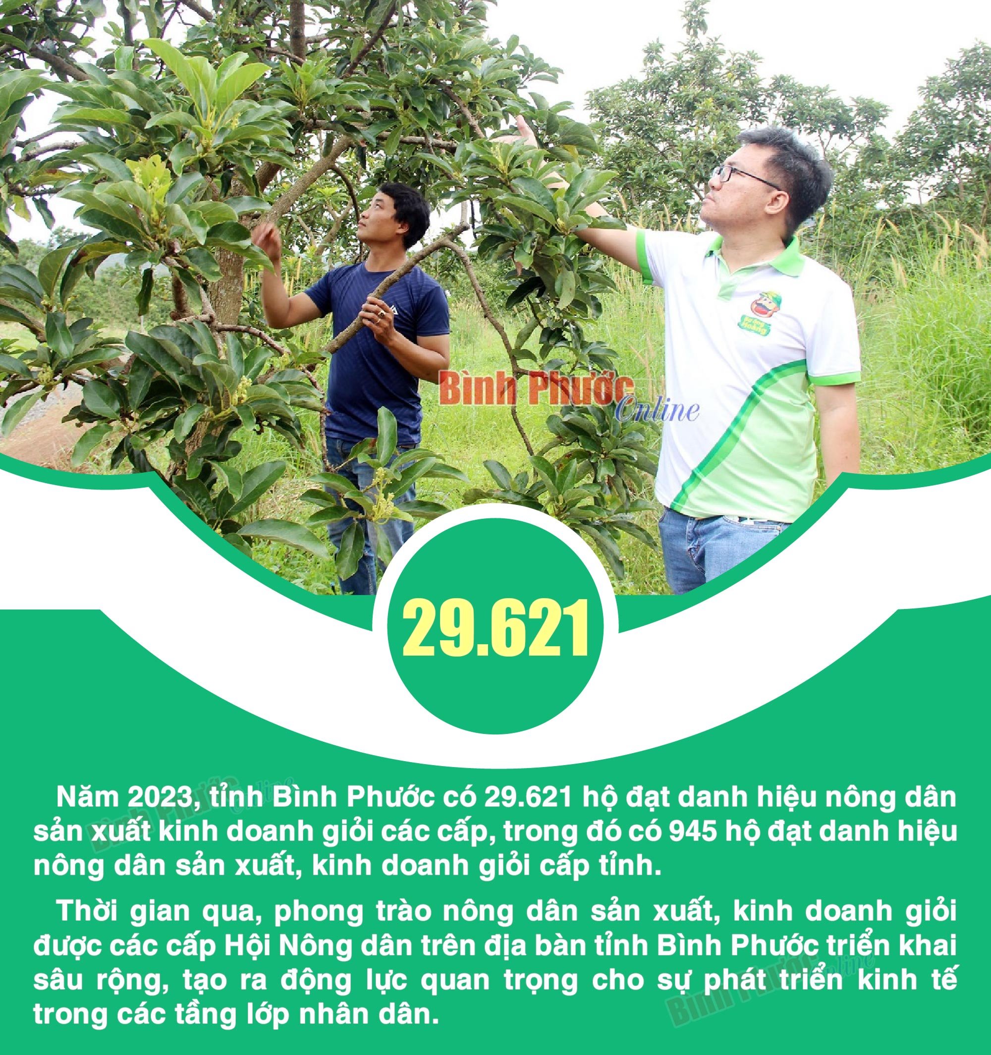 Bình Phước có hơn 29.600 hộ nông dân đạt danh hiệu sản xuất, kinh doanh giỏi các cấp