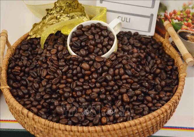 Góp phần để cà phê Việt Nam khẳng định thương hiệu tại thị trường Canada