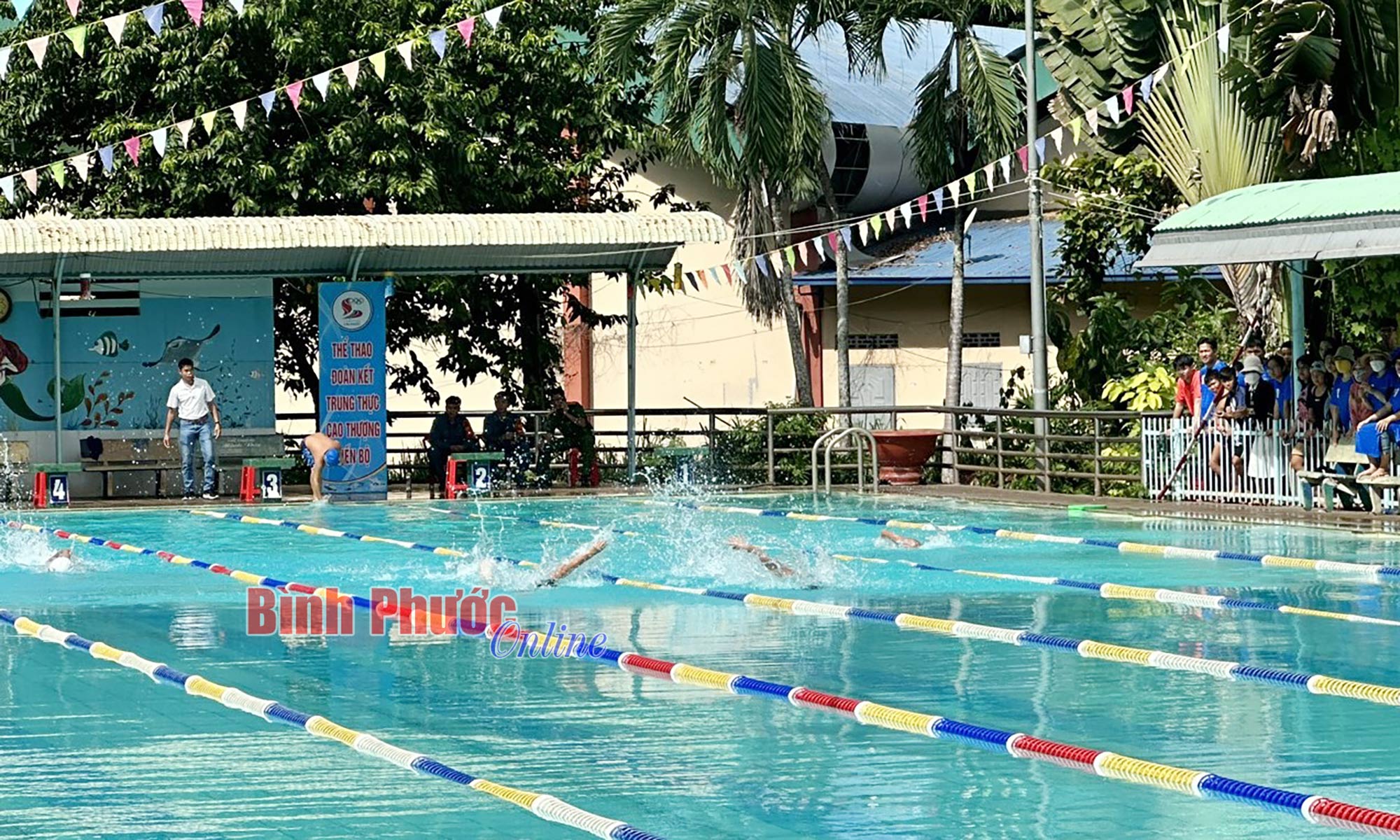 Hơn 200 vận động viên tham gia giải bơi các lứa tuổi tỉnh Bình Phước năm 2024