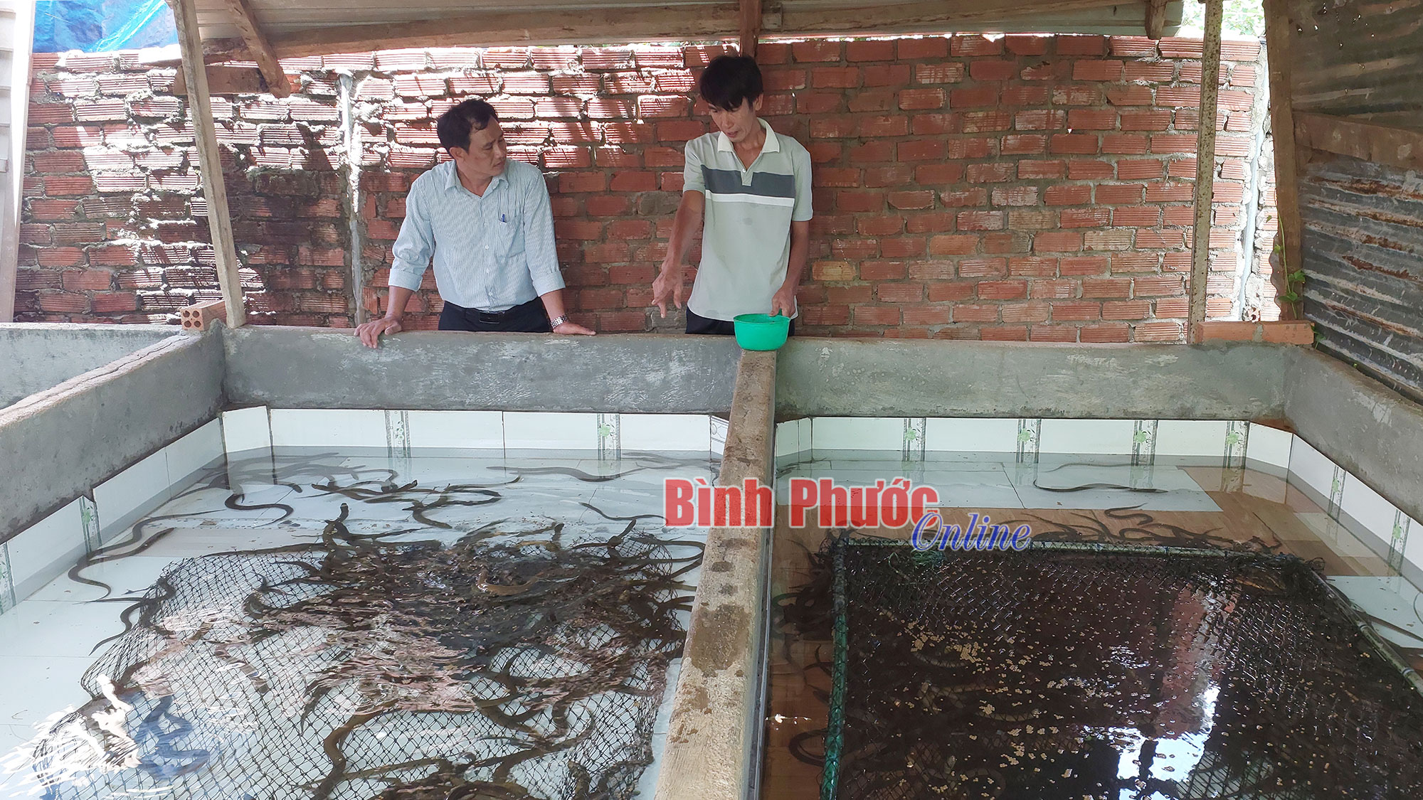 Thay đổi để phát triển