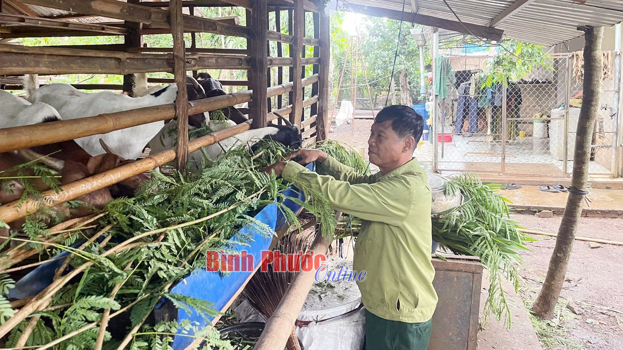 Thương binh làm kinh tế giỏi