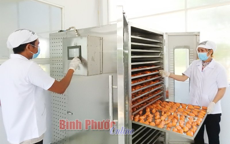 Chuyển đổi số nông nghiệp - cuộc cách mạng về tư duy (Bài 1)