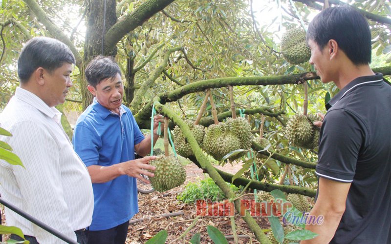 Chuyển đổi số nông nghiệp - cuộc cách mạng về tư duy (Bài cuối)