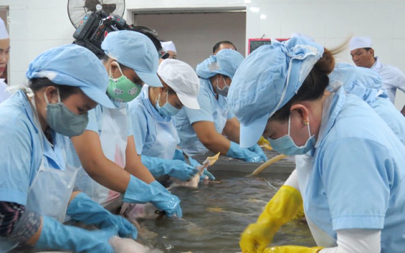 Đảm bảo phòng, chống dịch Covid-19 tại cơ sở giết mổ