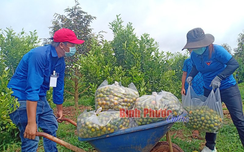 “Đâu cần thanh niên có, việc gì khó có thanh niên”