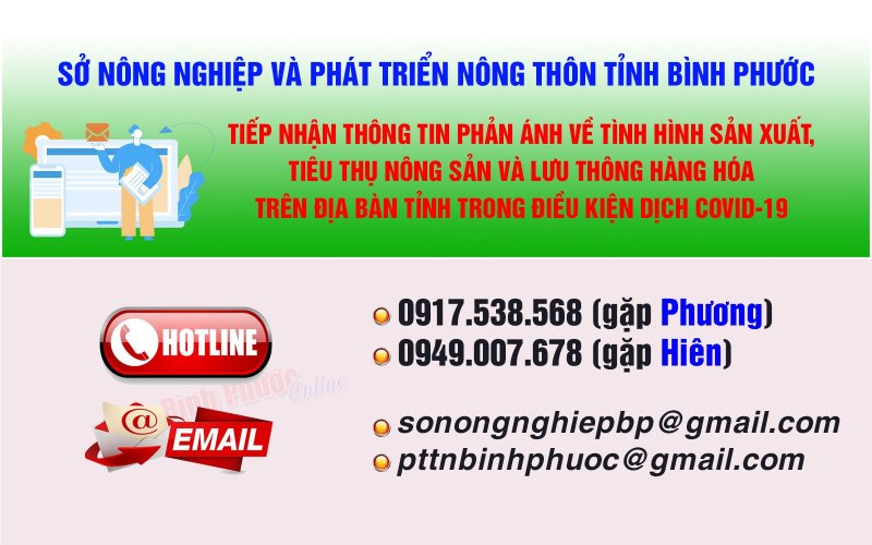 Đường dây nóng tiếp nhận thông tin về sản xuất, tiêu thụ nông sản trong điều kiện dịch Covid-19